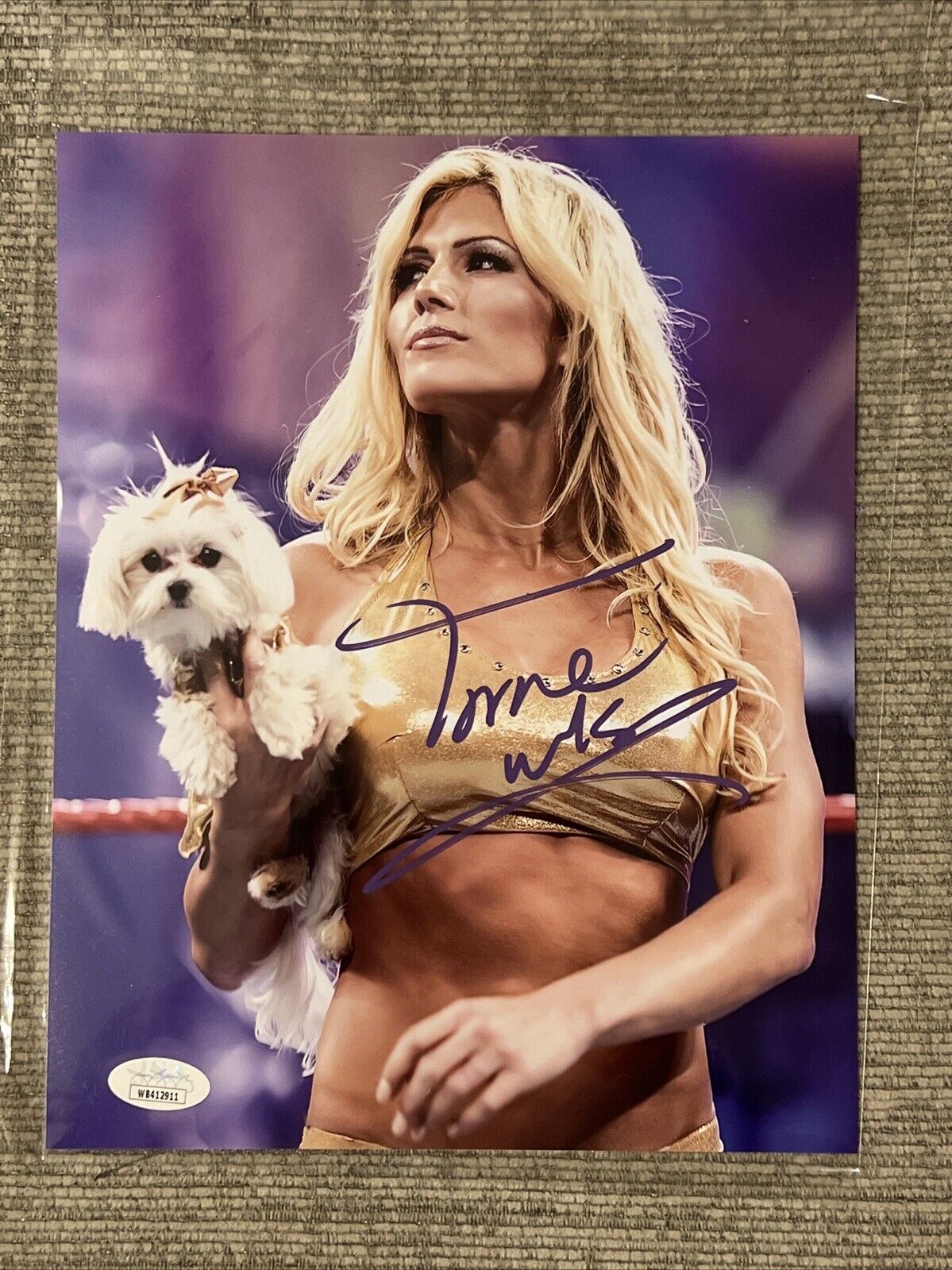 Torrie Wilson Signed 8x10 Photo WWE WWF Autographed JSA COA HOF INSC,