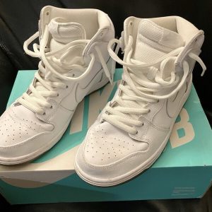 NIKE DUNK HIGH PRO SB "WHITE ICE" WHITE-GREY SZ 10.5 SUPER RARE! [305050-113]