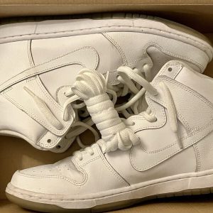 NIKE DUNK HIGH PRO SB "WHITE ICE" WHITE-GREY SZ 10.5 SUPER RARE! [305050-113]