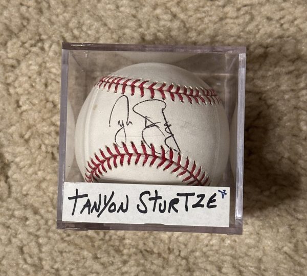 TANYON STURTZE SIGNED AUTOGRAPHED OML BASEBALL!