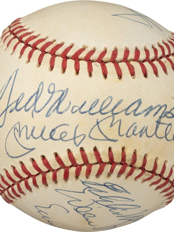 500 Home Run Club Multi Signed by 11 OAL Baseball Mickey Mantle PSA
