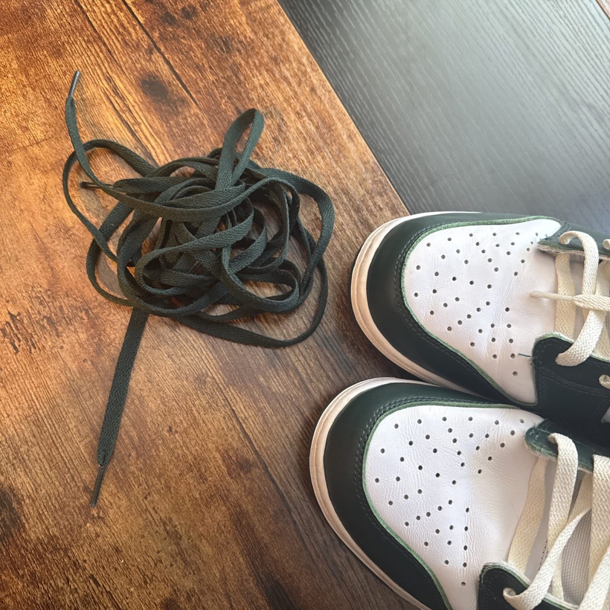 Size 12 - Nike Dunk SP High Spartan Green White Leather (CZ8149-100)