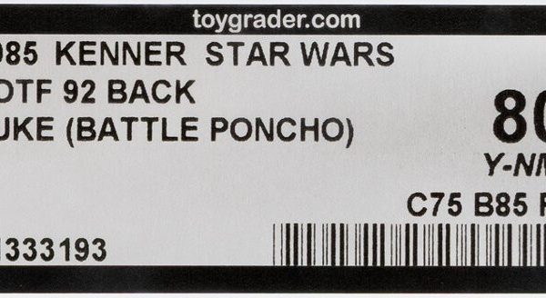 Star Wars POTF Luke Skywalker (Endor Battle Poncho) 92-Back AFA Y80 Kenner 1985